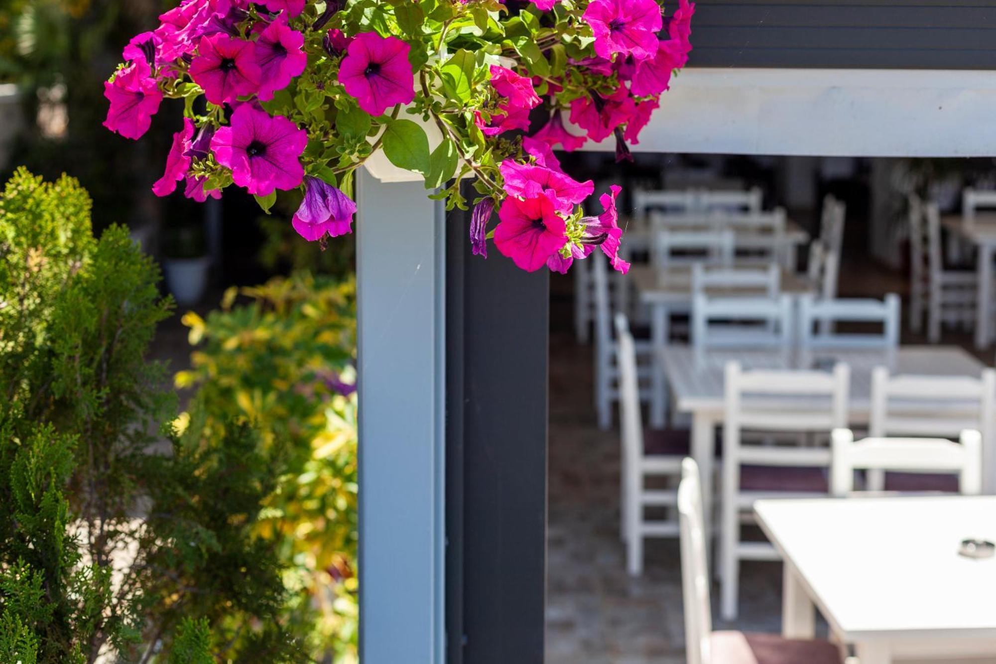 Dhima Hotel Himare Exterior foto