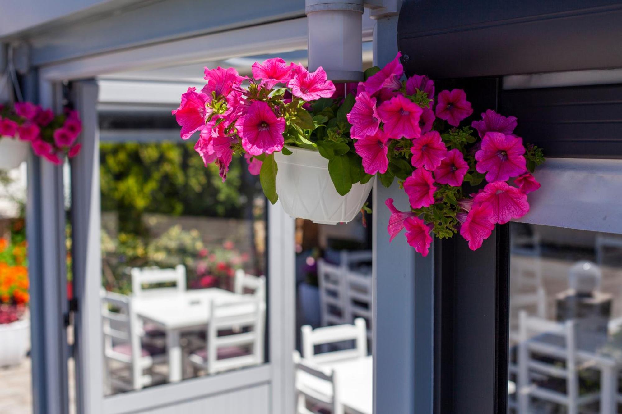 Dhima Hotel Himare Exterior foto